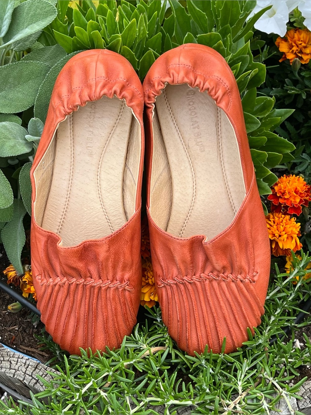 Chocolate Blu Shoes Womens SlipOn Leather Pleated Details Ballet Flats Coral 7.5